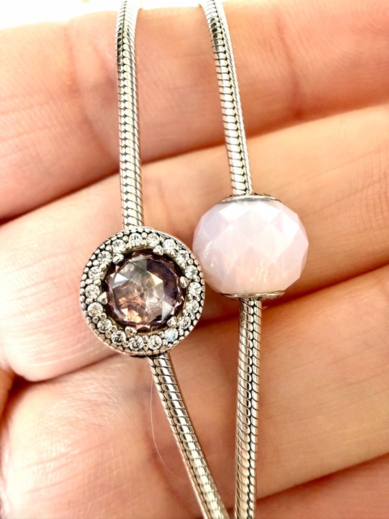 RARE❗️ Retired PANDORA ESSENCE Set of 2 Bracelets & 4 Charms - Picture 6 of 17